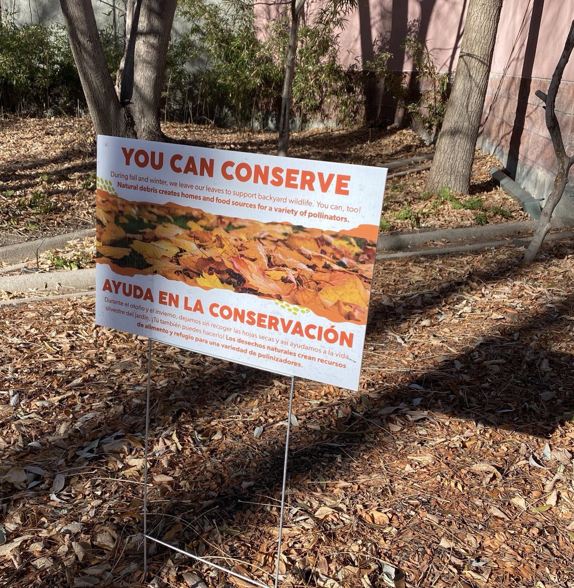 nickvsppt's tweet image. Reminder that not removing leaf litter from your yards is actually a good thing for wildlife! #denverzoo
