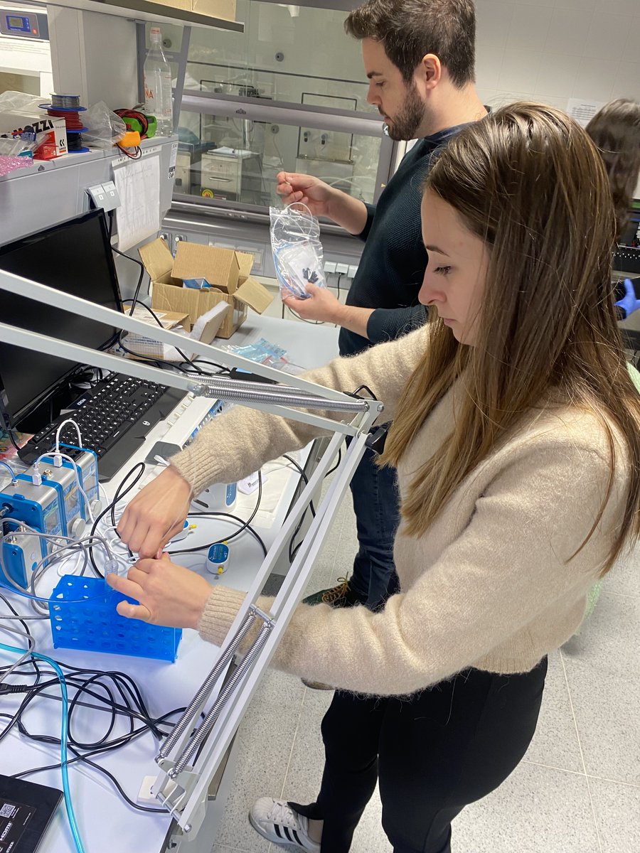 Cistem Project tweet media