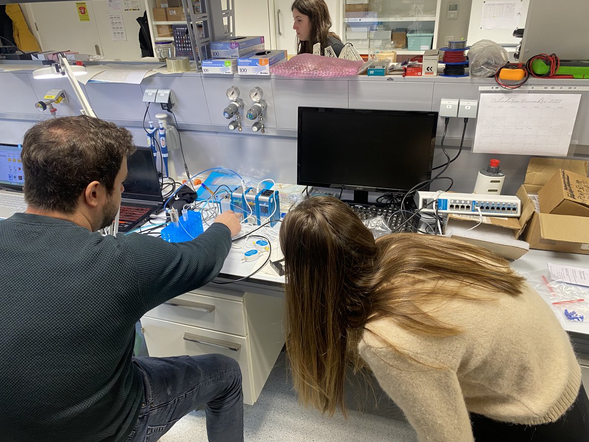 Cistem Project tweet media