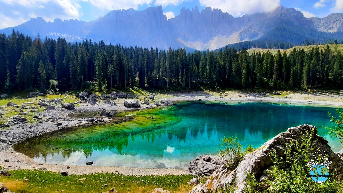 Lemurinviaggio tweet media