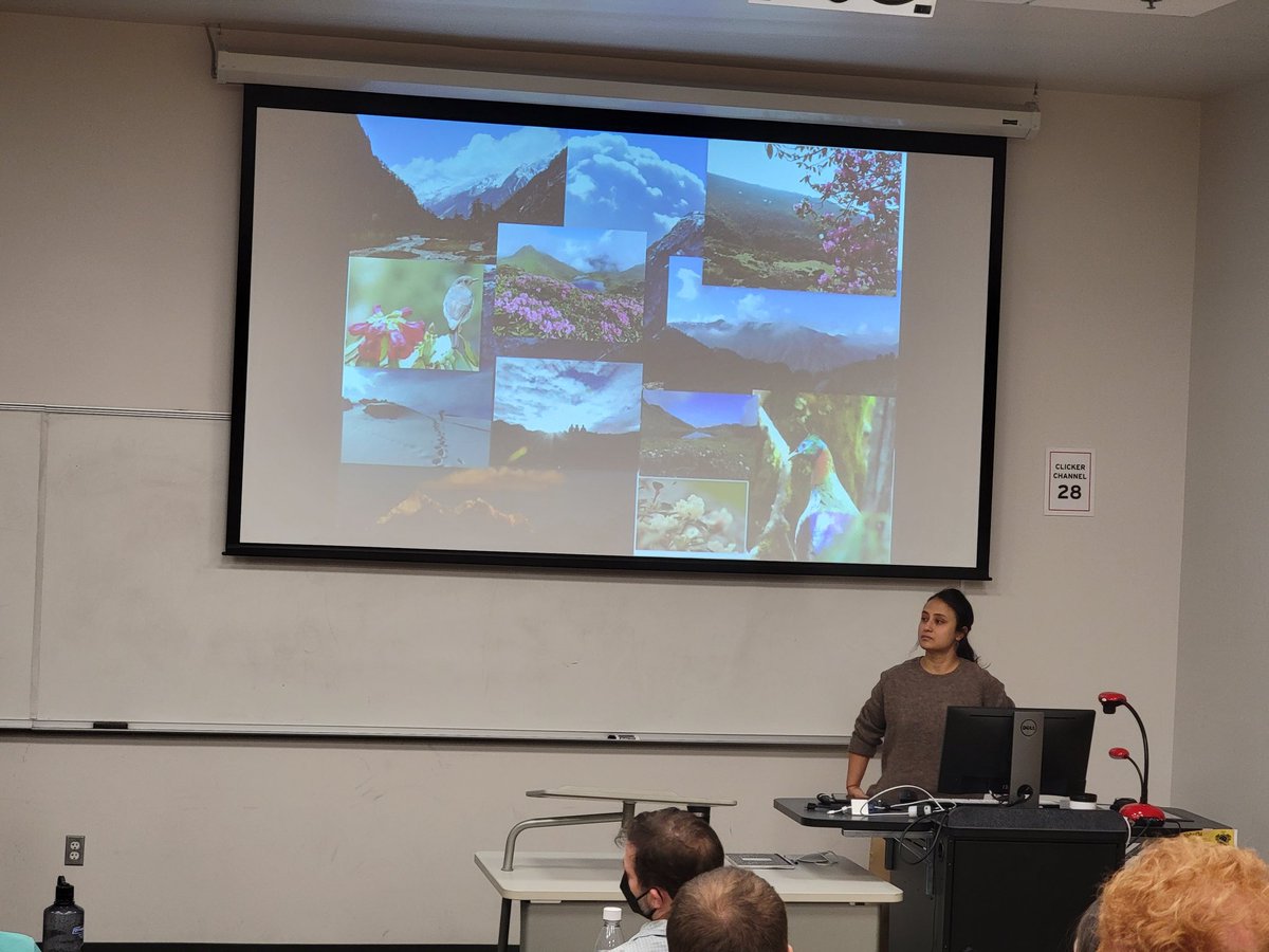 umdeso's tweet photo. Congrats #EspindoLab @shwetabasnett & @botanico_las, @GrunerDaniel lab Angela Saenz and @SESYNCDirector Sean Sharp on great research in progress talks @UMDEntomology seminars, @UMDscience @UMD_AGNR https://t.co/oGSbh6miZq