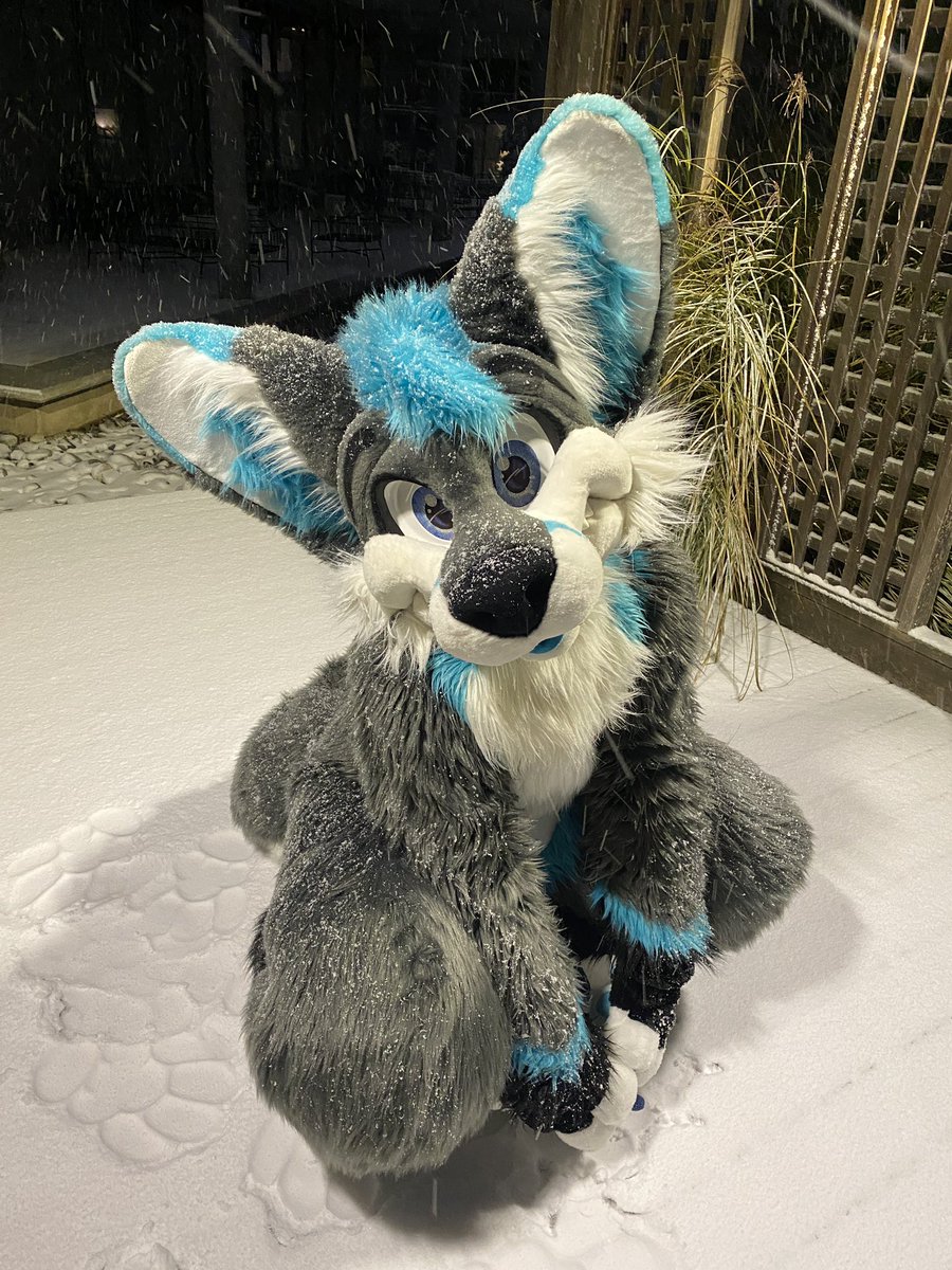 Do you pet the snowy fox? 🦊☃️ happy #FursuitFriday!~ 

📸 <a href="/NotQuiteMellow/">Mellow ✨</a> 
🪡 @morefurless