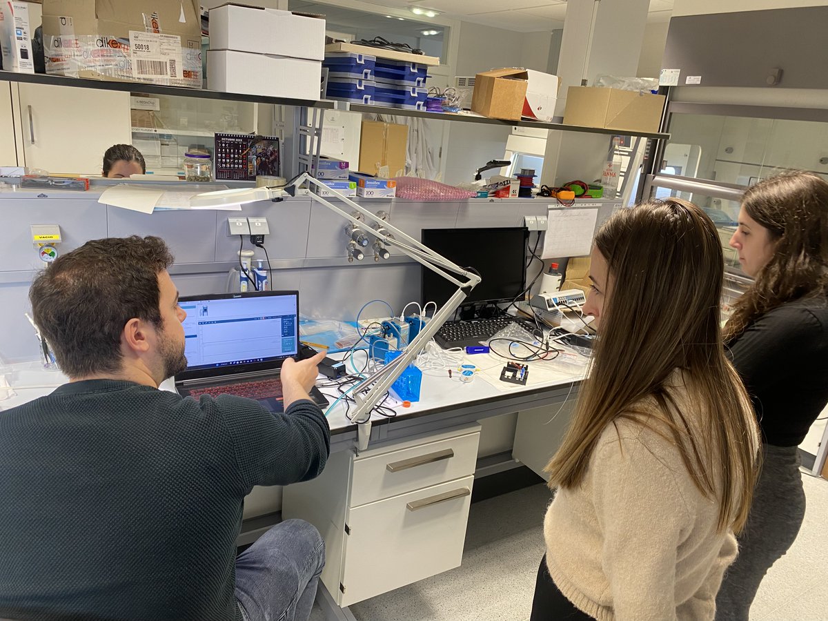 Cistem Project tweet media