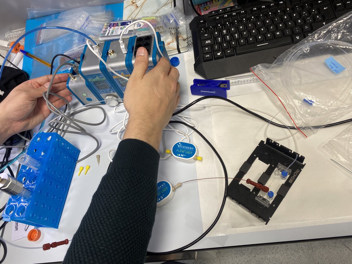 Cistem Project (@cistem_project) on Twitter photo Sara Joksović from <a href="/BioSenseRS/">BioSense Institute</a> learned how to work with Fluigent equipment for fluid control in microfluidics thanks to <a href="/BeOnChip/">BEOnChip</a>. 👩🔬👏 She had this training during her <a href="/Cistem_Project/">Cistem Project</a> secondment in Zaragoza. #H2020 #MSCA #RISE #CISTEM Sara Joksović from <a href="/BioSenseRS/">BioSense Institute</a> learned how to work with Fluigent equipment for fluid control in microfluidics thanks to <a href="/BeOnChip/">BEOnChip</a>. 👩🔬👏 She had this training during her <a href="/Cistem_Project/">Cistem Project</a> secondment in Zaragoza. #H2020 #MSCA #RISE #CISTEM