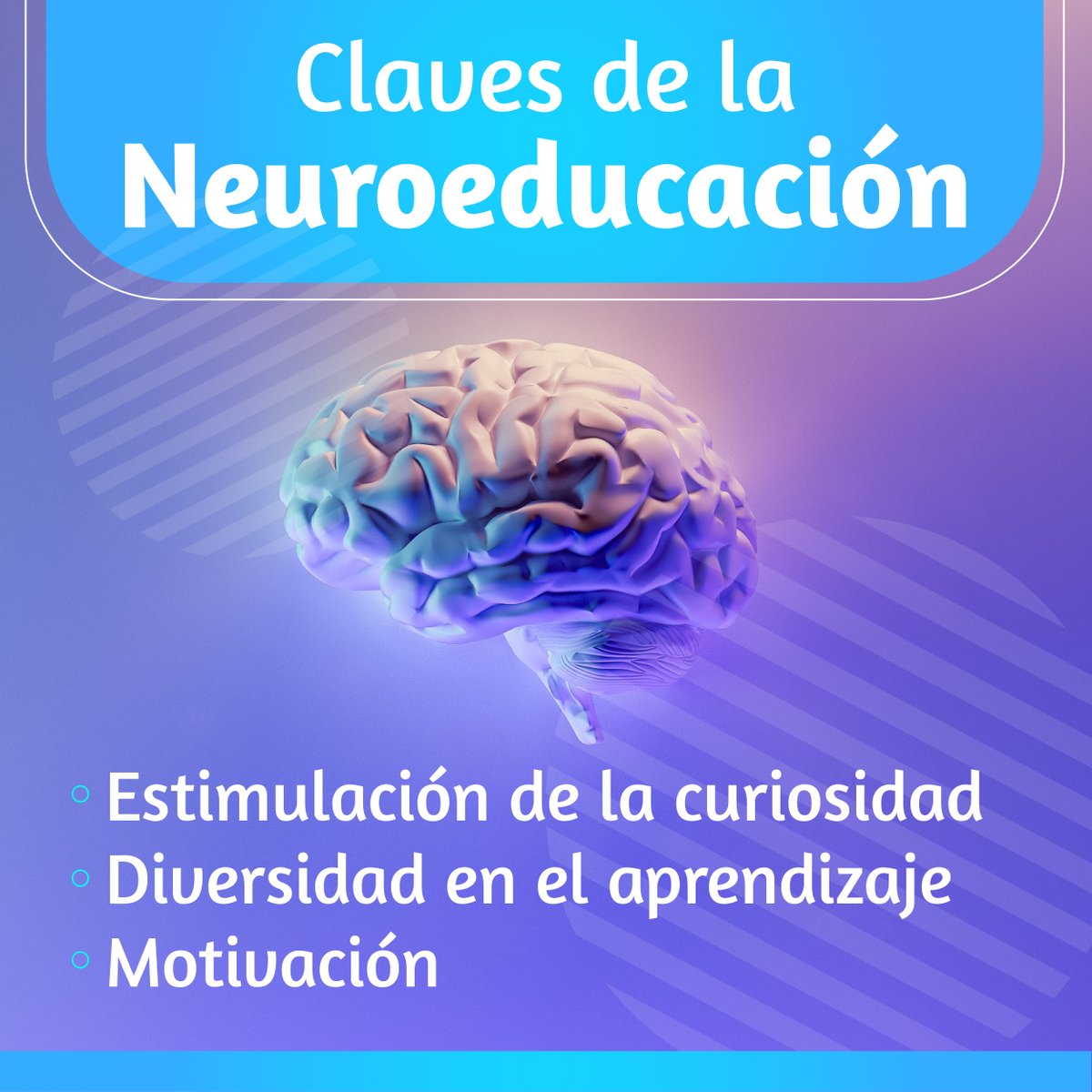 Trabajar de manera colaborativa con la Red Vess nos ha impulsado a actualizarnos en Neuroeducación, 🧠 Haciendo una propuesta de aprendizaje activo de parte de los estudiantes para formar personas equilibradas con sentido y sabiduría.

Conoce más: bit.ly/plataforma-Vess
