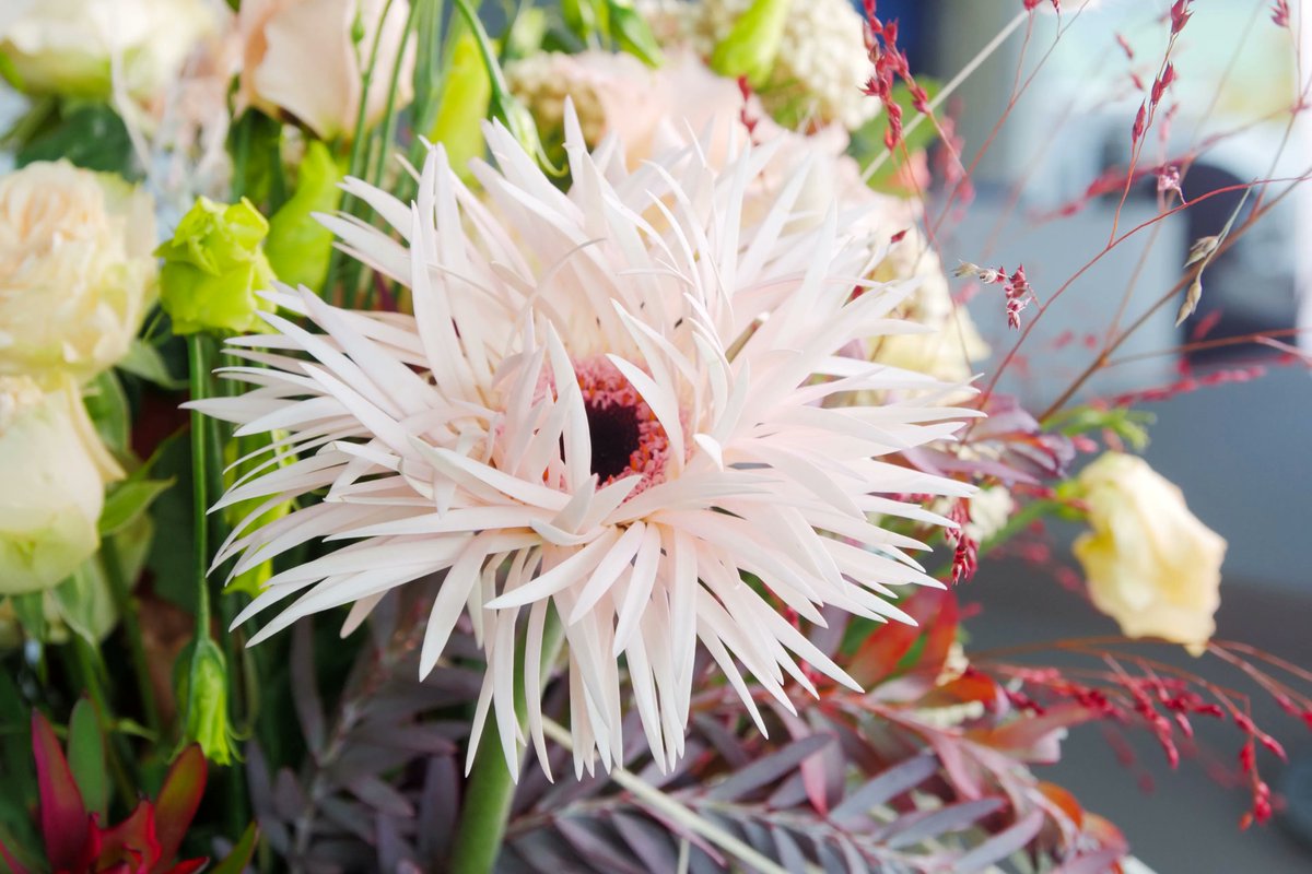 dntprod's tweet photo. Some photos done for @asclepiade.art.floral 📸 🌷 🌾  Discover more on their website https://t.co/TWDXxiO6tO

#photography #digitalcommunication #communicationagency #geneva https://t.co/ZBBMllEHBG