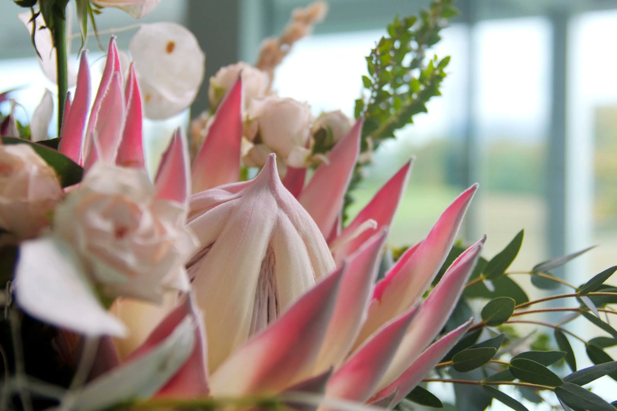dntprod's tweet photo. Some photos done for @asclepiade.art.floral 📸 🌷 🌾  Discover more on their website https://t.co/TWDXxiO6tO

#photography #digitalcommunication #communicationagency #geneva https://t.co/ZBBMllEHBG