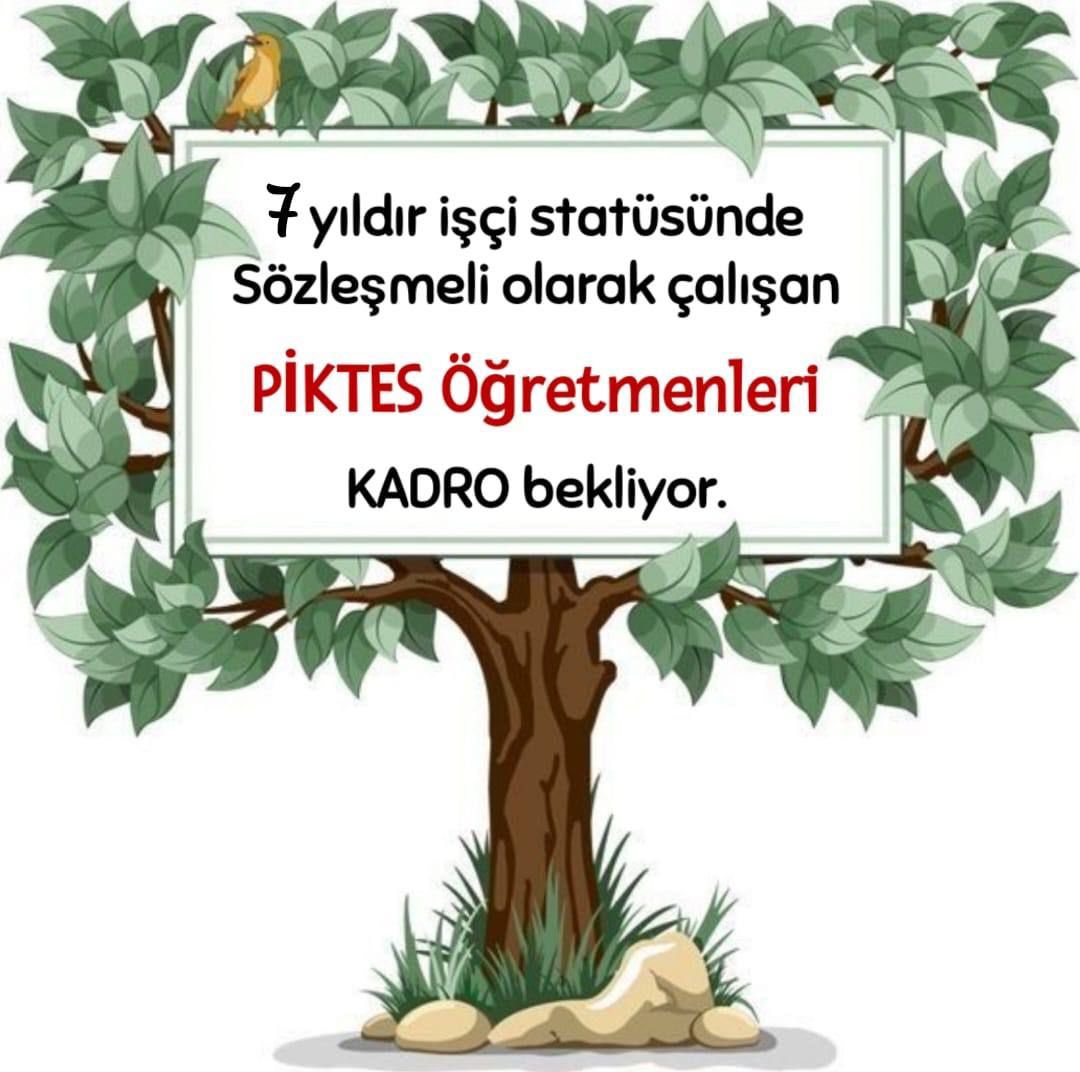 #KadroPiktesinHakki