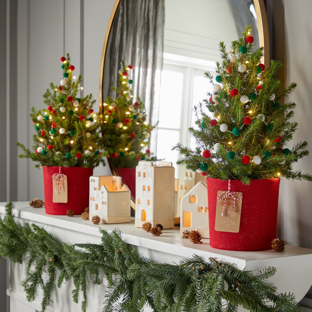 Get into the holiday spirit with fresh and festive decor 🎄 l8r.it/eosw