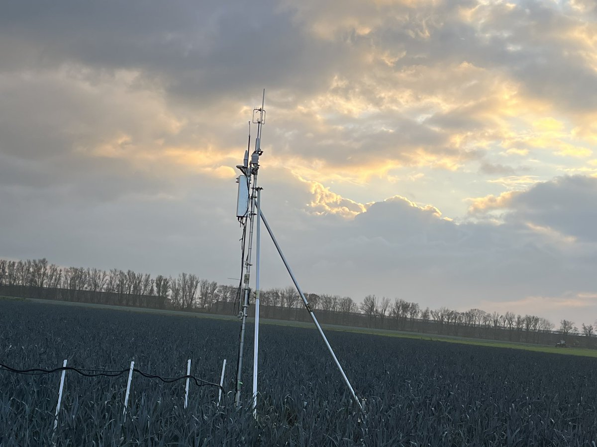 JanetHughes's tweet image. A brilliant day with fenland farmers courtesy of Hannah Padfield @NFUtweets @Ondaintreefarm @matjim5 Alison Morris @rob_wise  and @nallpress &amp;amp; Patrick Allpress discussing veg and cereal growing, fenland soil, farming reforms, life, the universe and everything - huge thanks all 🙏🏼