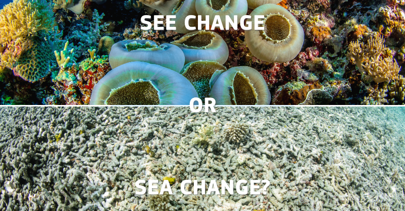 EU_Commission's tweet photo. Can we still turn the tide #ForOurPlanet at #COP15?

Overfishing, pollution and greenhouse gas emissions have added their toll on our blue planet.

As leaders from all over the world will meet in Montreal 🇨🇦 this week for COP15, our message is clear: we need to act now.