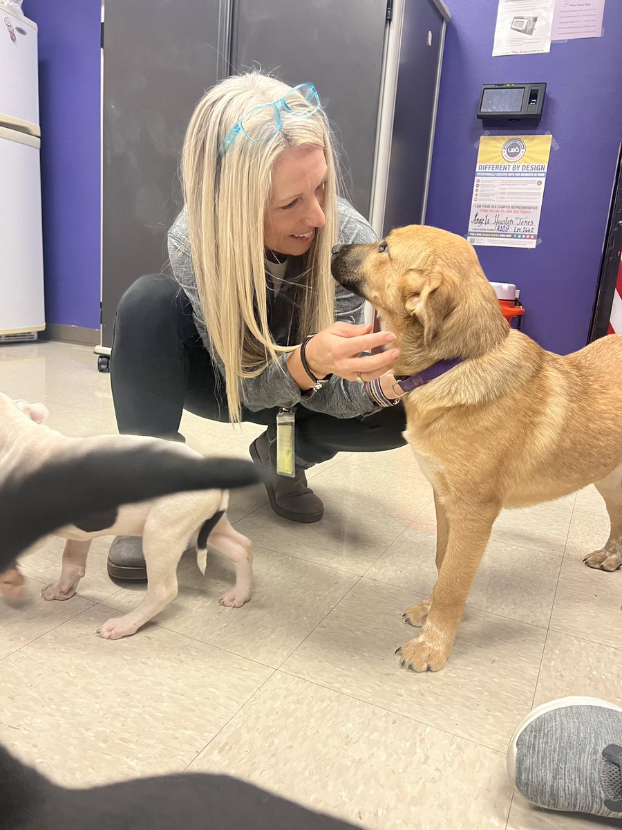 TMS Yearbook tweet media