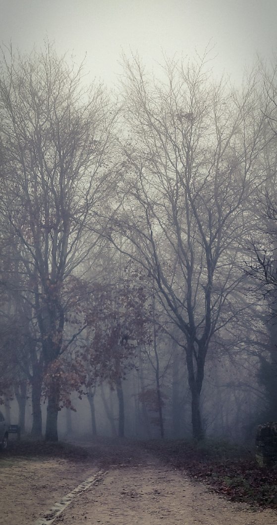 seorgan's tweet photo. It's been a foggy but diverse week. From #Bristol & #London to the Cotswolds. I particularly enjoyed #mentoringcircle event last night, meeting mentors & mentees to hear their experiences of the property industry. @RICSnews @RIBA https://t.co/ETBTdTuRpe
