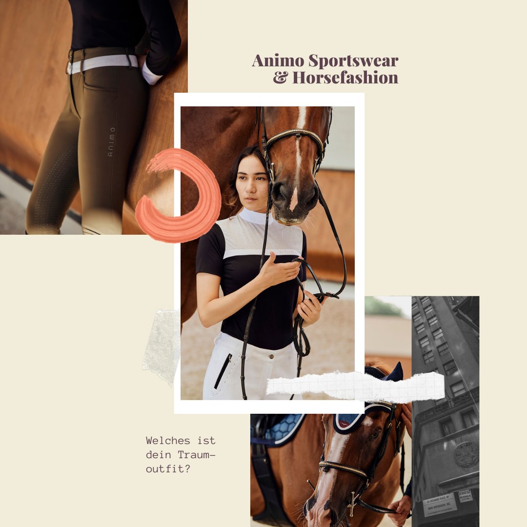 ReitsportKandel's tweet photo. 🇮🇹🧡 Zeit für was Besonderes
Animo zeitlos &amp; elegant
➡️ https://t.co/qQbNXtsR0D

#reitstiefelkandel #rk4y #equestrian  #cool  #bootsday #fashion #animo 
#nofootball #costarica #japan #italienwargarnichterstdabei ;-) https://t.co/kKIhxZsqKK