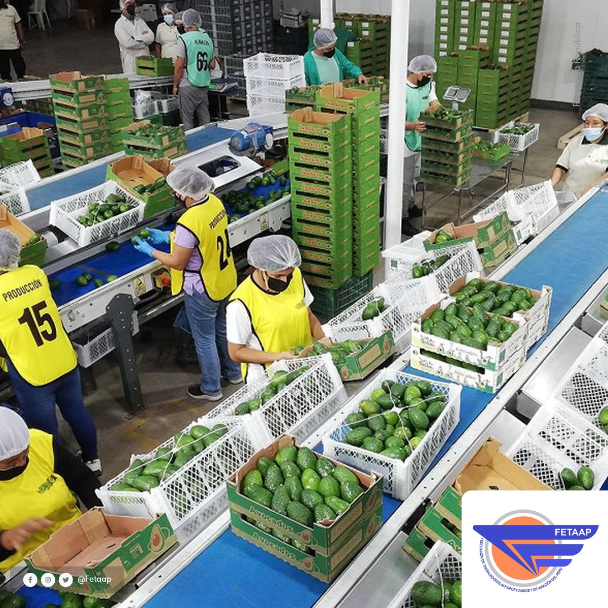 FetaapA's tweet photo. Exportaciones regionales avanzaron 2.1% entre enero y setiembre del 2022

Envío superaron los US$32.000 millones. 

Entérate de más en: 
https://t.co/JLWy1RXC91

#fetaap #exportaciones #regiones https://t.co/CRB2V84NcA