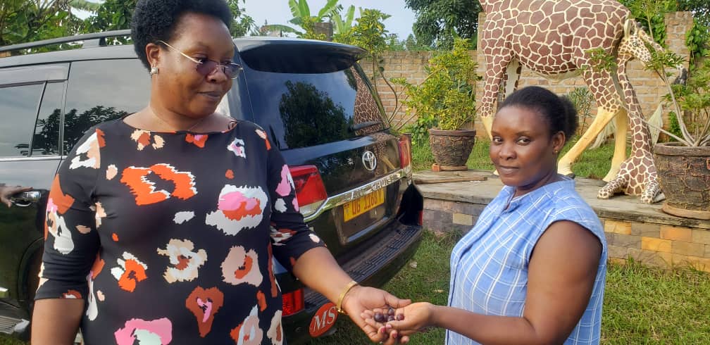 I had a great opportunity to visit Grace demonstration farm in Nakivuma. It is a place worth visiting.