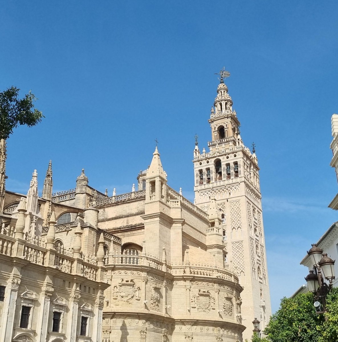 MarkPassera's tweet photo. Honored to be working in Seville this week ... beautiful city and wonderful  students and staff at Pablo de Olavide University! Thank you! https://t.co/qJXSwoDX8x