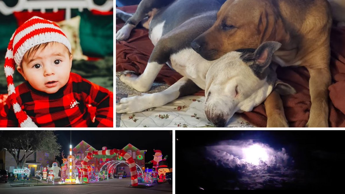 KPRC2's tweet photo. 🔒A lightning show🌩️, cuddled up doggies🐶, houses decked-out (in a huge way) for Christmas🎄: See the best of our latest Click2Pins submissions - https://t.co/KhLlJoHInG #KPRC2 #Click2Pins https://t.co/leAEnmXgXv