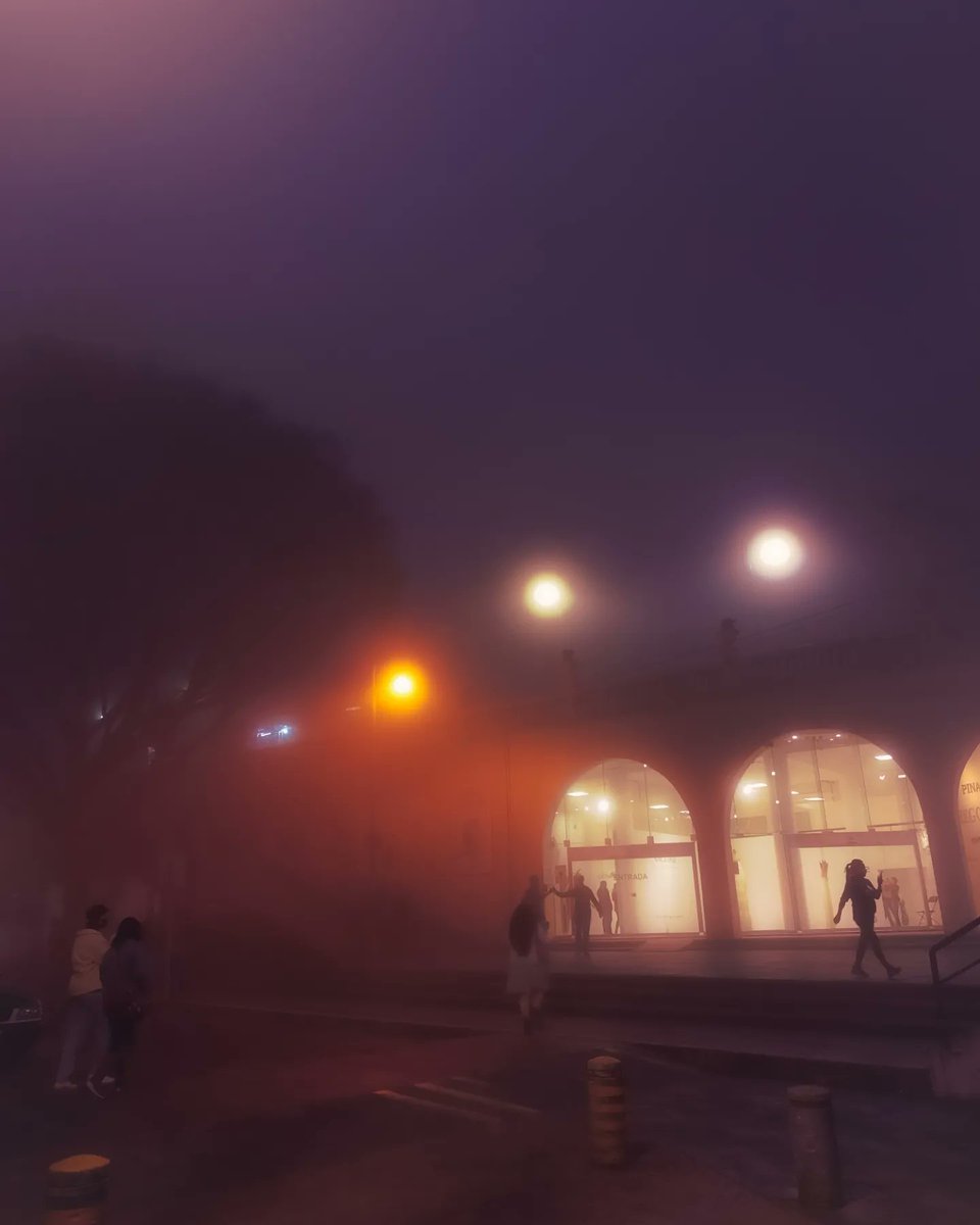 Carlitospindola's tweet photo. Estos spots de Xalapa con niebla parece que las hizo alguna Inteligencia Artificial https://t.co/pRvBZcZyRG