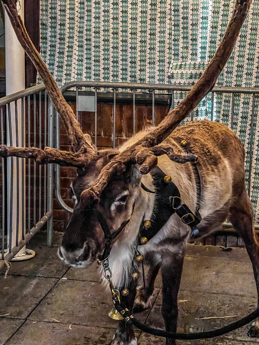 Eldon Grove Academy tweet media