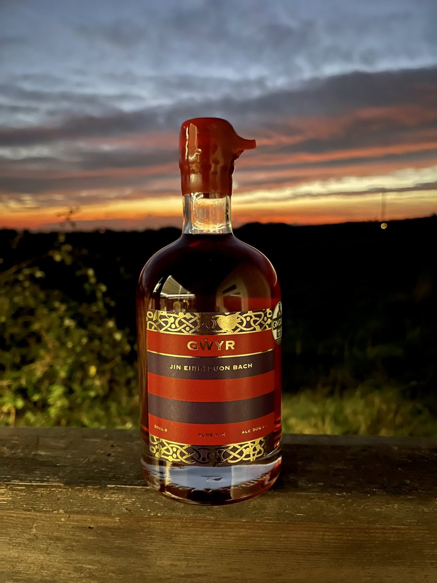 Sun down, sloe down…
#gŵyrsloe #sloegin