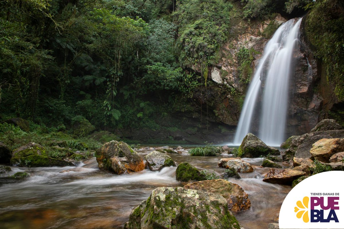 Secretaría de Desarrollo Turístico tweet media