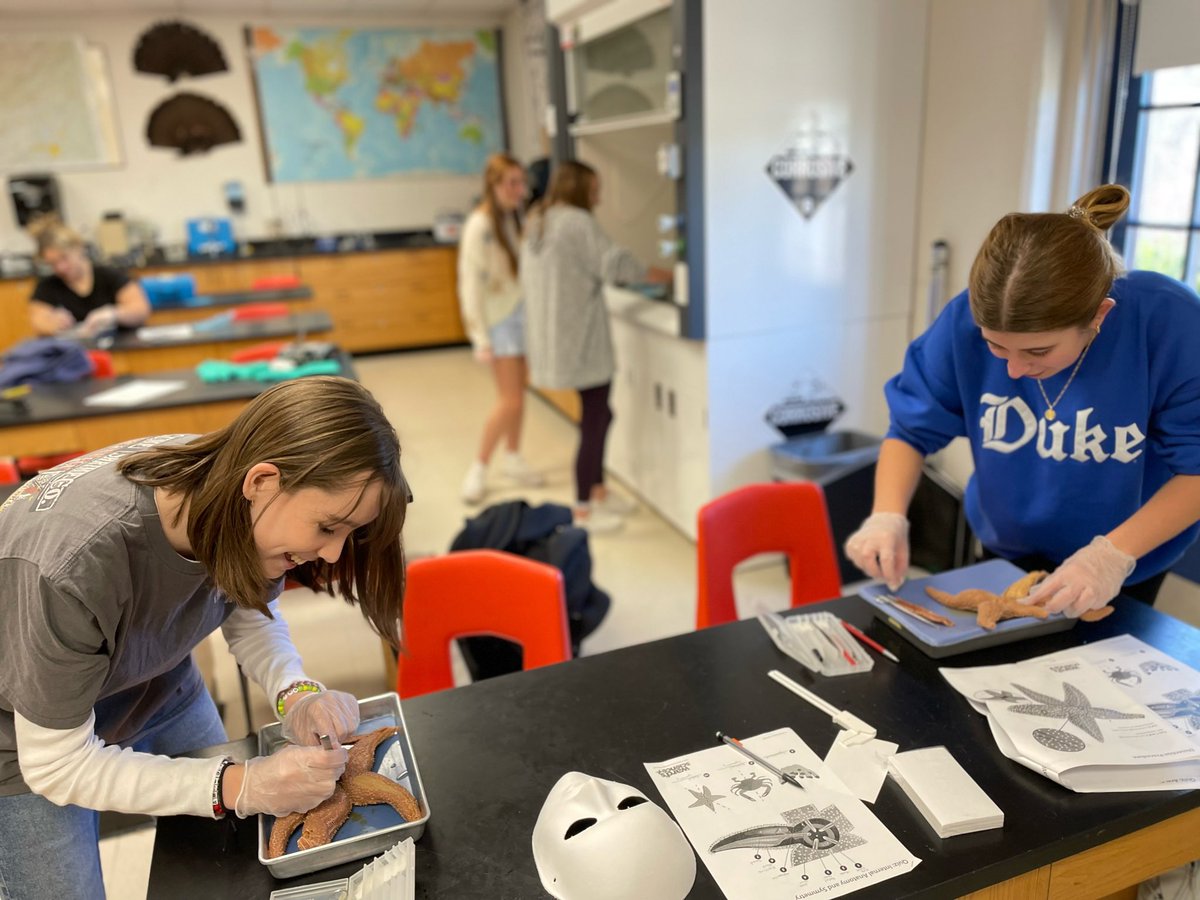 WCDS_Science's tweet photo. Students in the Advance Marine Biology class dissected starfish for their unit on invertebrate zoology! #WCDSScience #WCDSUpperSchool #WCDSBiology #WCDSAcademicExcellence https://t.co/cEHEJBHJN9