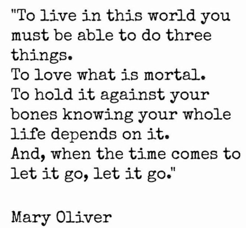 I will never not think of these lines by Mary Oliver
#poetry #poetrycommunity #poetrylovers