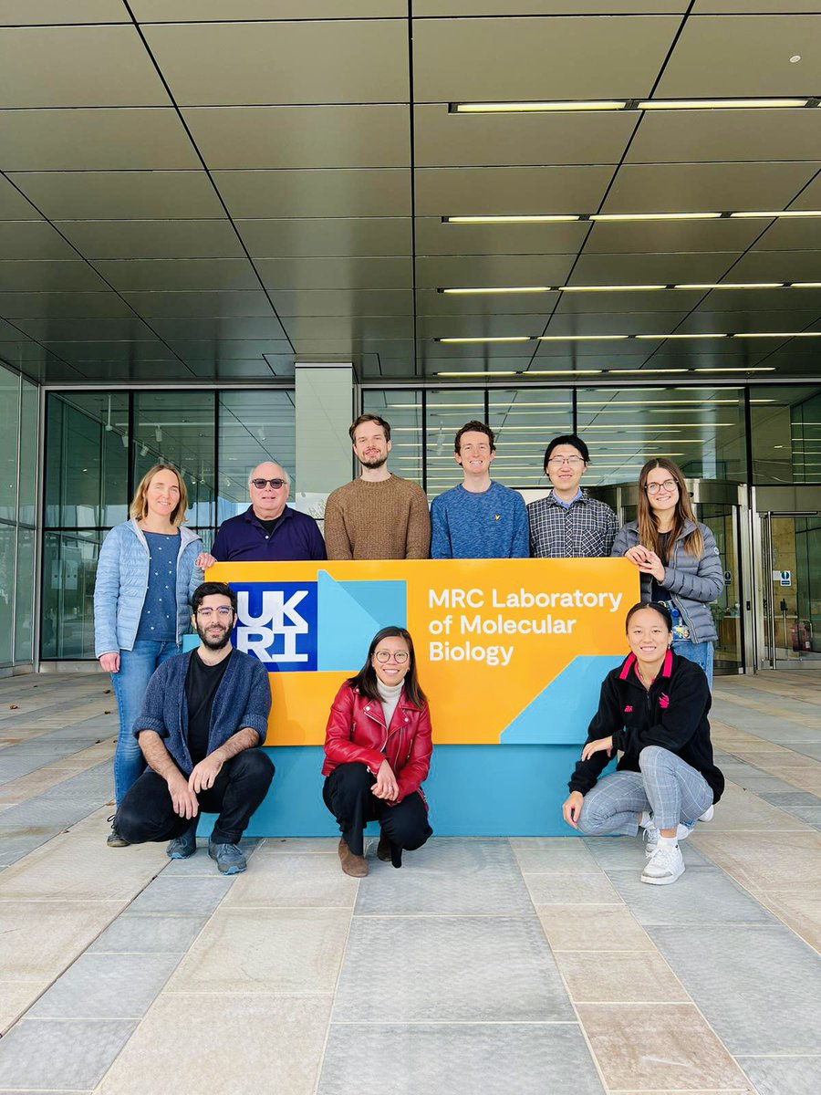 We are looking for postdoctoral researchers to join us to address new questions in telomere biology @MRC_LMB. Please get in touch and RT!