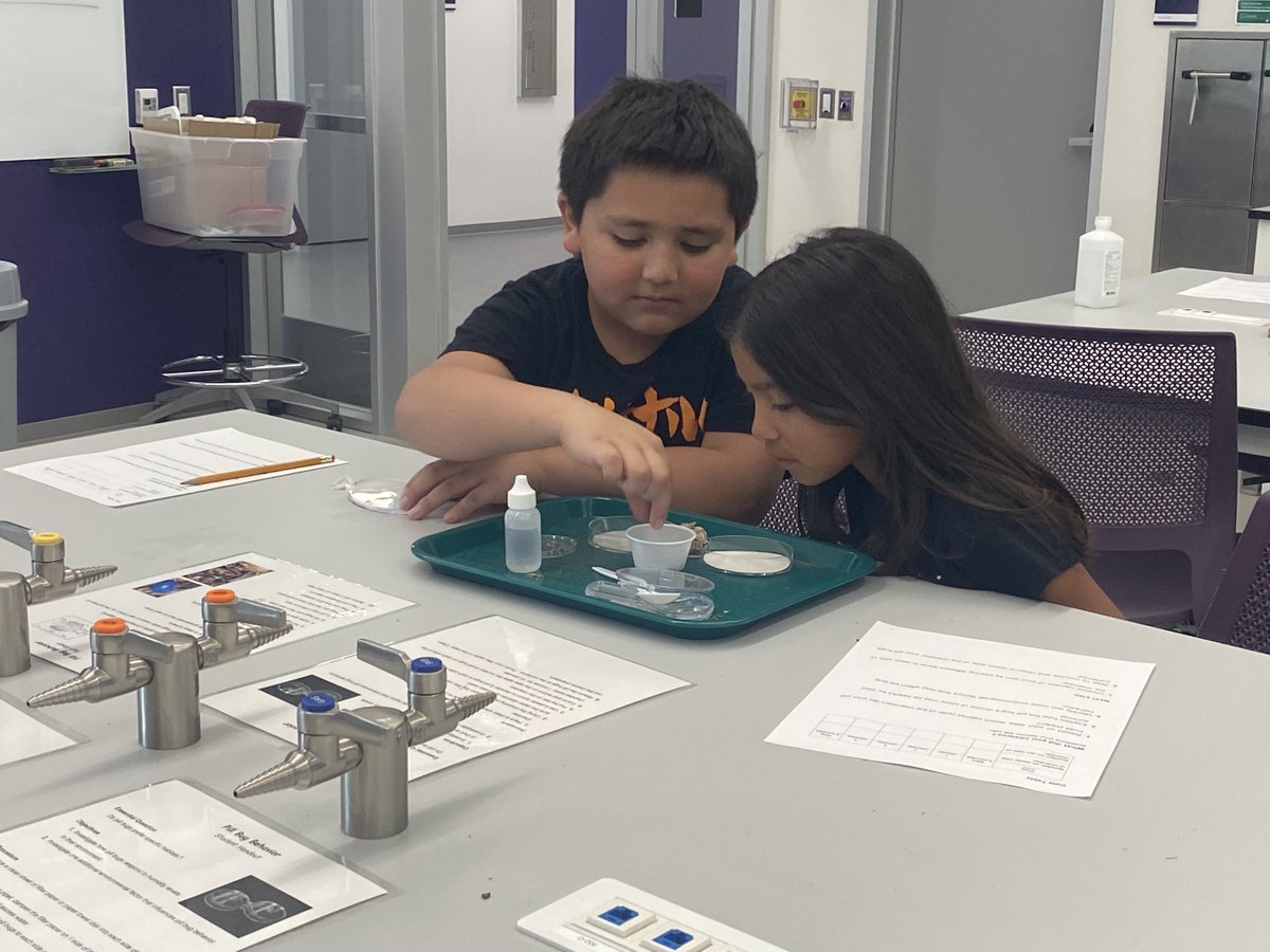 SFASTEMcenter's tweet photo. Boys and Girls Club students from Lufkin developed their problem-solving skills, learned about pill bugs, and had a blast building and testing their water rockets!

#SFASU #STEM #ComputerScience #Puzzles #Biology #PillBugs #Engineering #Rockets #BoysandGirlsClub #ColeSTEMBuilding https://t.co/AVCP2siwzm