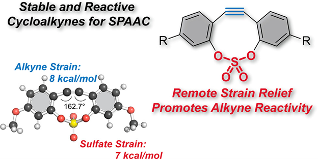JOC_OL's tweet photo. Remote Strain Activation in a Sulfate-Linked Dibenzocycloalkyne. New work from the Gold group at University of New Mexico reveals a strategy to remotely control the reactivity of strained cycloalkynes. Soon to be featured on an #OrgLett cover https://t.co/jr0swr6DuE https://t.co/Noz0C25UV6
