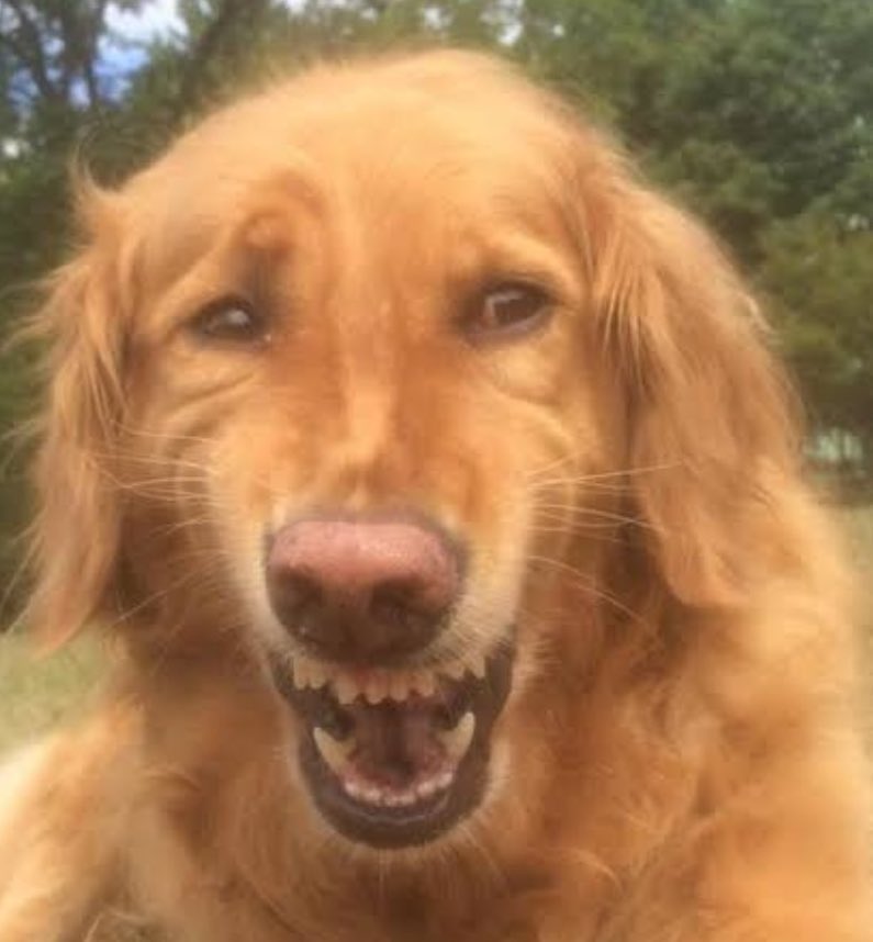 juliiiiiiietaa's tweet photo. Le quería dar $100 a un limpiavidrios y me confundí por un billete de $1000, no me anime a decirle que me los devuelva PORQUE COMENZÓ A LLORAR Y decirme que dios me bendiga AAAAAA https://t.co/RnLKRPjoH1
