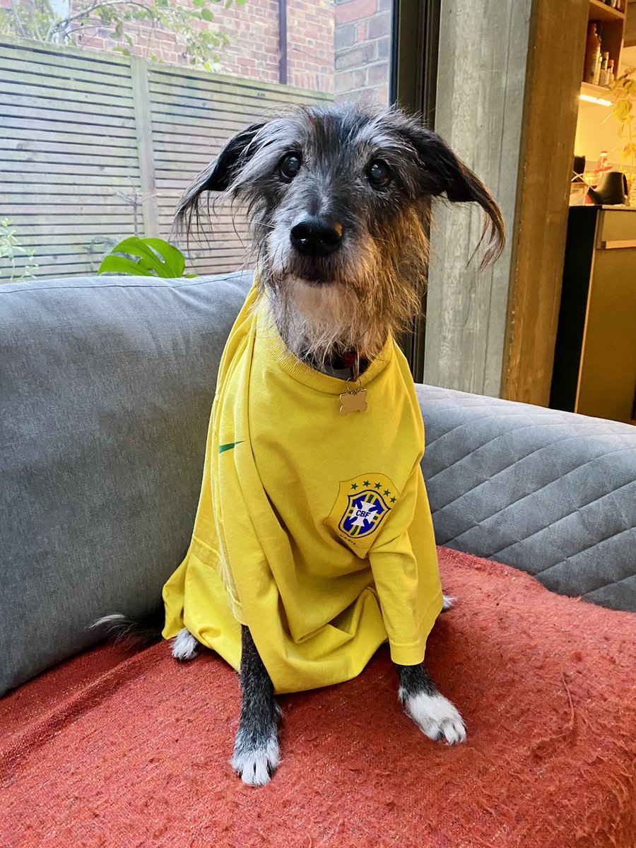 rodrigo__c's tweet image. tradição não se quebra: é hora de compartilhar o Biriba da sorte!!!