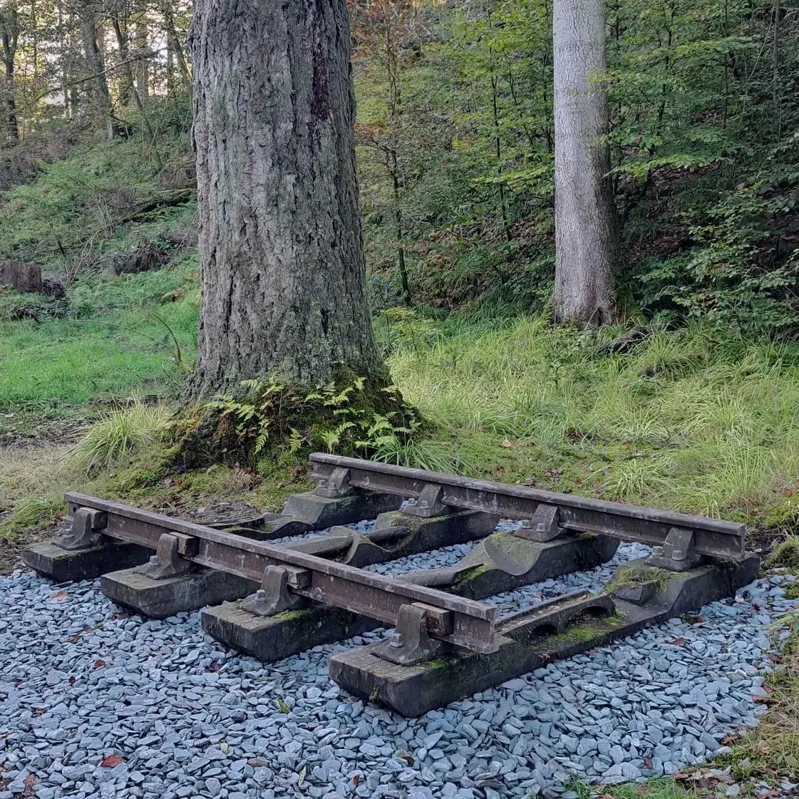 GrizedaleSculpt's tweet photo. Have you spotted the new locations of Keir Smith's sculpture 'A Flower in a Flower' now on the Ridding Wood Trail and 'Last Ray's of an English Rose' on the lower section of the Millwood trail? #forestartworks #sculpture #keirsmith #grizedalesculpture https://t.co/Ax4HThNW2i