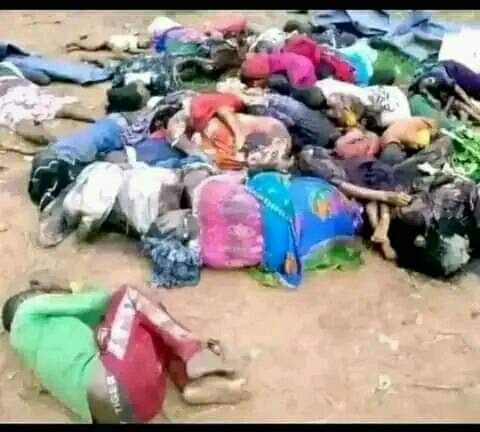 Why &amp; How long⁉️
The world remains silent on Ethiopian state-sponsored terrorism against Oromo⁉️
<a href="/USEmbassyAddis/">U.S. Embassy Addis</a> <a href="/POTUS/">President Donald J. Trump</a> <a href="/StateDept/">Department of State</a> <a href="/SecBlinken/">Secretary Antony Blinken</a> <a href="/hrw/">Human Rights Watch</a> <a href="/DRovera/">Donatella Rovera</a> <a href="/UNGeneva/">United Nations Geneva</a> <a href="/HouseForeign/">House Foreign Affairs Committee Dems</a> <a href="/antonioguterres/">António Guterres</a> <a href="/JosepBorrellF/">Josep Borrell Fontelles</a> 
<a href="/EUAmbUS/">Jovita Neliupšienė</a> <a href="/UNGeneva/">United Nations Geneva</a> <a href="/eucopresident/">António Costa</a>