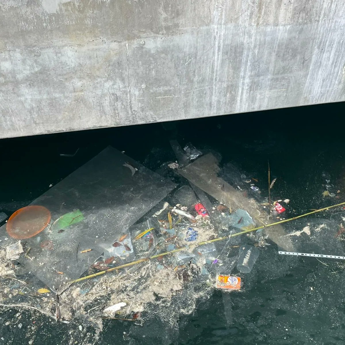 The Nautilus Project tweet media