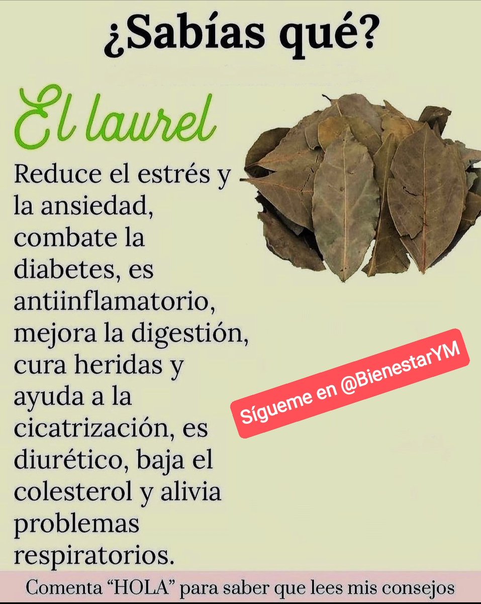 ✨💫🌿☀️Tip Saludable☀️🌿💫✨

El Laurel y sus Beneficios.

*Regálame un Gracias si me lees*