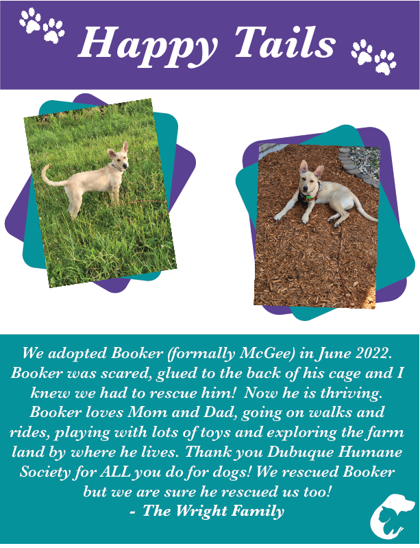 Dubuque Regional Humane Society (@dubuquehumane) on Twitter photo We love to hear about how the animals are doing once they've found their FUR-ever home! If you have a happy tail, send yours with photos in to happytails@dbqhumane.org and watch for it to be posted! We love to hear about how the animals are doing once they've found their FUR-ever home! If you have a happy tail, send yours with photos in to happytails@dbqhumane.org and watch for it to be posted!