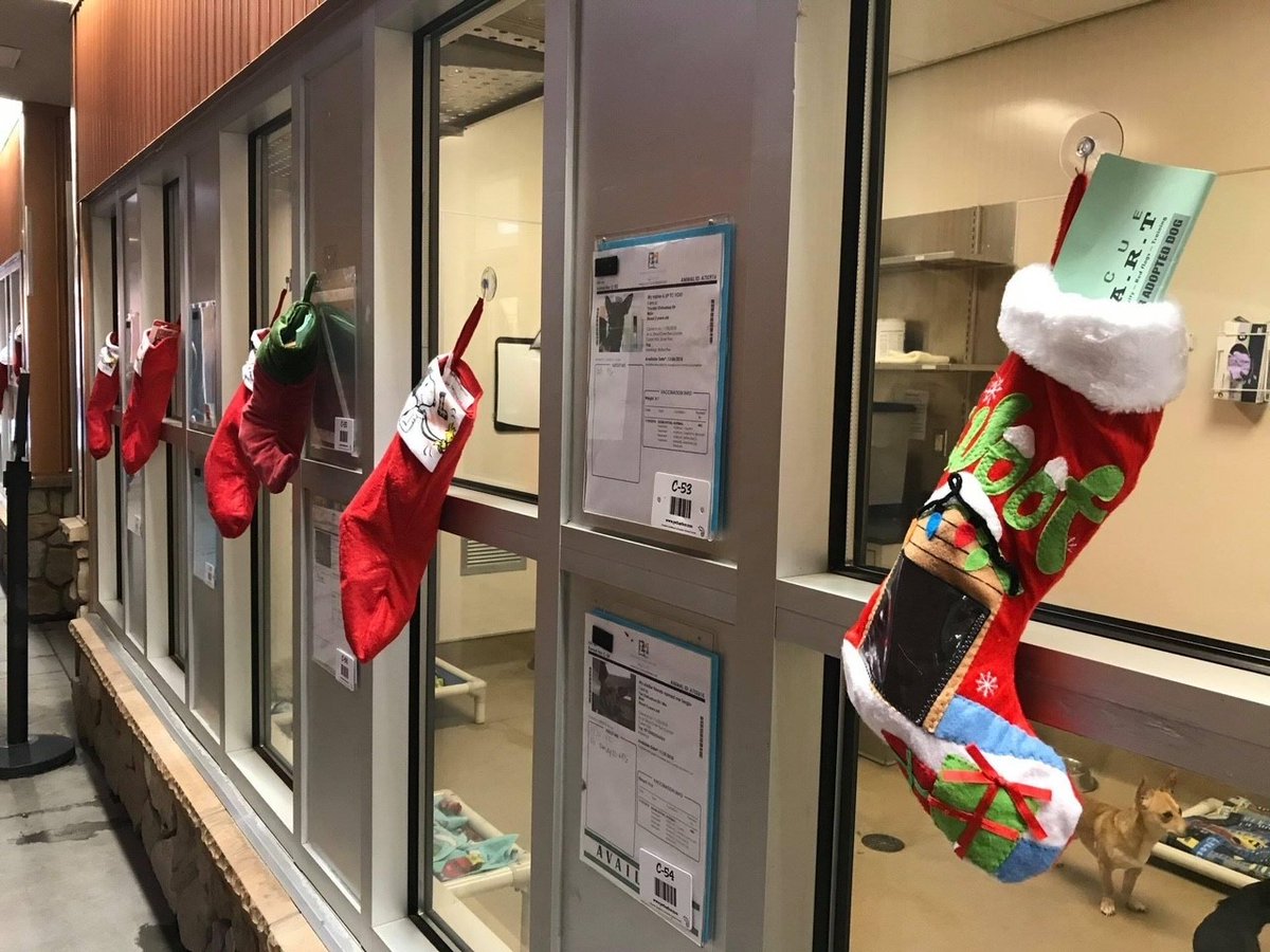 Sacramento County tweet media