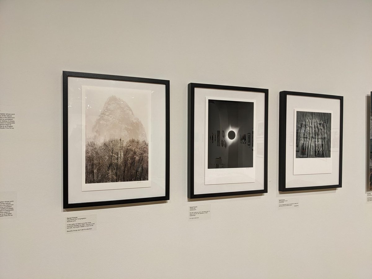 Global Museum SFSU tweet media