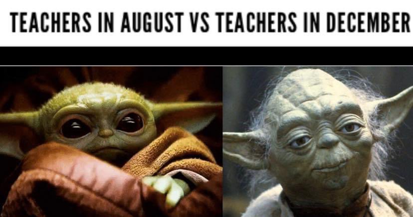 Calderglen English 🏳️‍🌈 tweet media