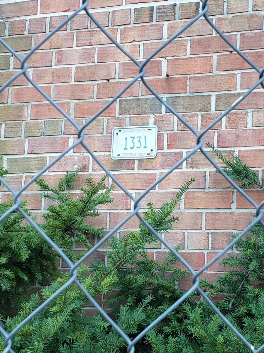 M. Shanks tweet media