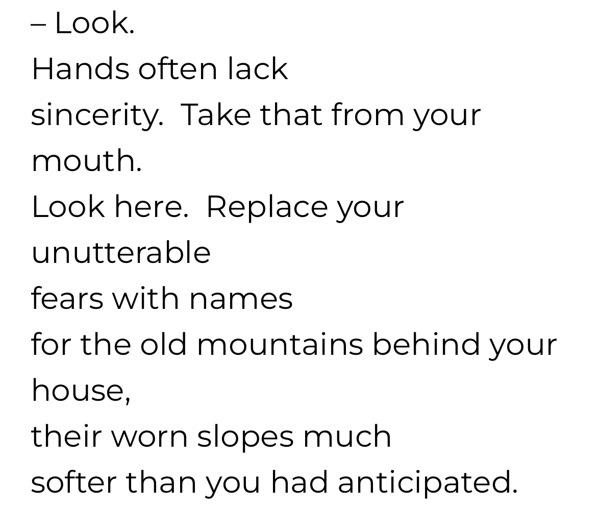 izatchu's tweet image. An excerpt from “Seizing” originally pub. in issue V of @_thetinyjournal &amp;amp; also in my forthcoming #chapbook “27 Threats to Everyday Life” —&amp;gt; preorder closes 12/23 - order link in bio! @FLPress #poetry #chapbook #debut #poetrybooks #poetrycommunity #booktwitter #writers