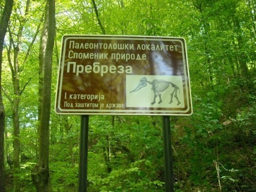 juznasrbija's tweet image. Ученици топличких основних школа презентовали пројекат о Палеонтолошкогм локалитету „Пребреза“
#blace
juznasrbija.com/bjM3ODE0