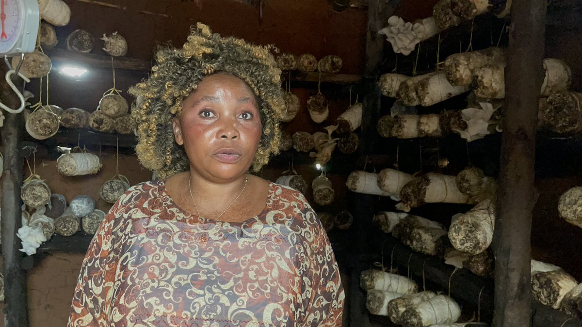 <a href="/CrentsilMatthew/">Matthew Crentsil</a>, UNHCR Uganda Representative, visited a refugee mushroom farm.

The group is comprised of men, women, and the elderly.