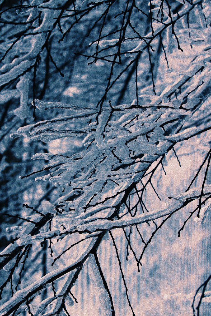 premierepete's tweet photo. December is my favorite month :) #picoftheday https://t.co/QShQpCxkYM