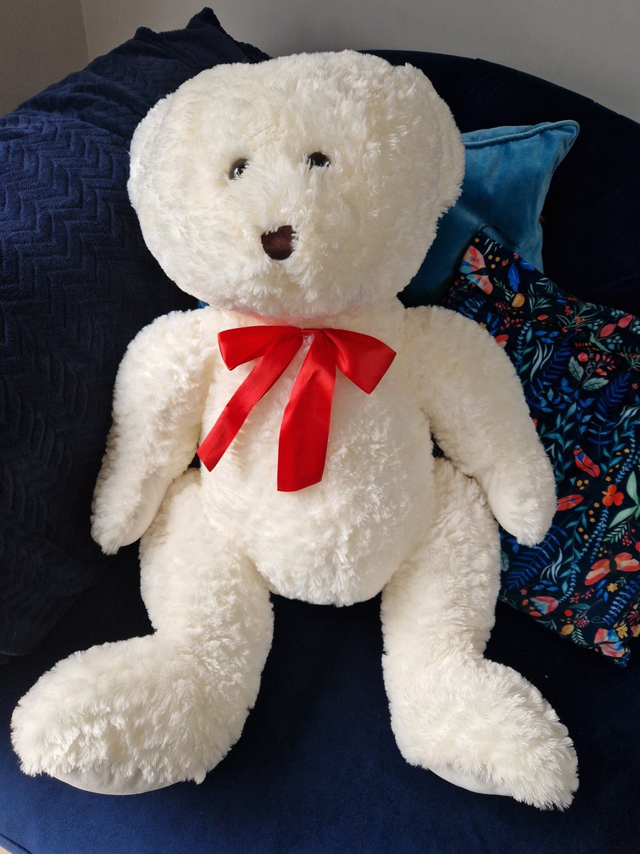 beckystiles's tweet photo. I feel like I need to introduce to the world, my daughters teddies... Jeffrey Bearzos, Eddie Lizzard and Simon Cow 😅 @JeffBezos @eddieizzard @SimonCowell https://t.co/FCBff5QVaM