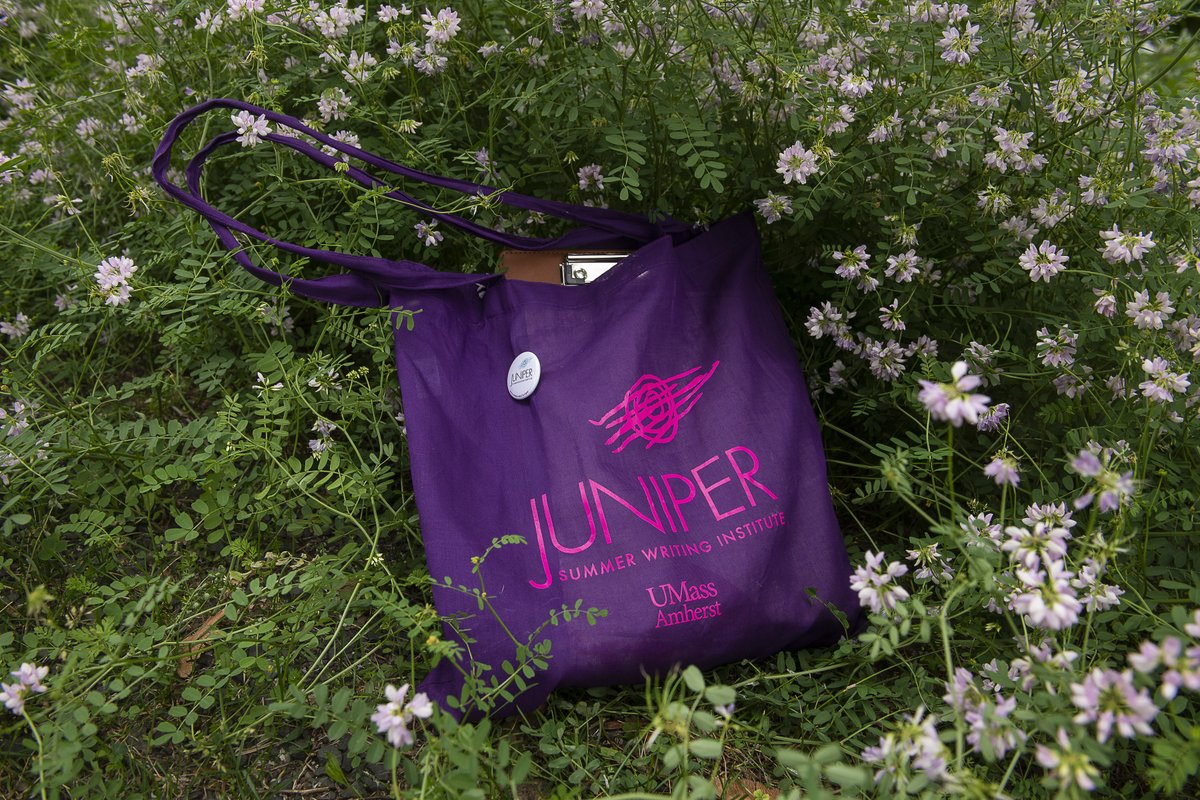 Juniper Institute tweet media