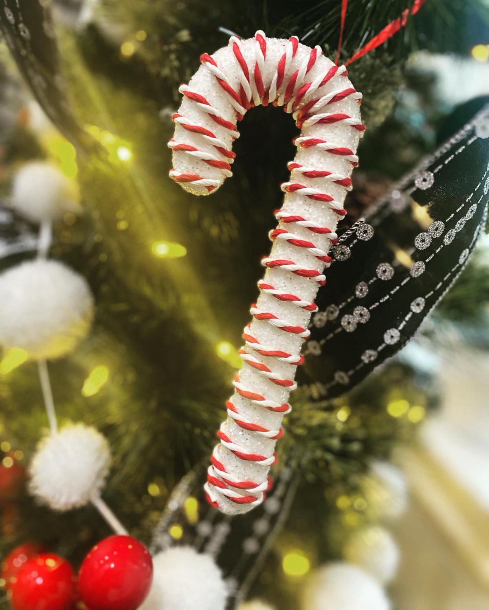 A1BizCom's tweet photo. It’s beginning to look a lot like Christmas in the office 🎄🧑‍🎄
#december1st🎄 #merrychristmas🎄 #christmastree #christmasintheoffice #A1BizCom https://t.co/OpEN9UQLv9