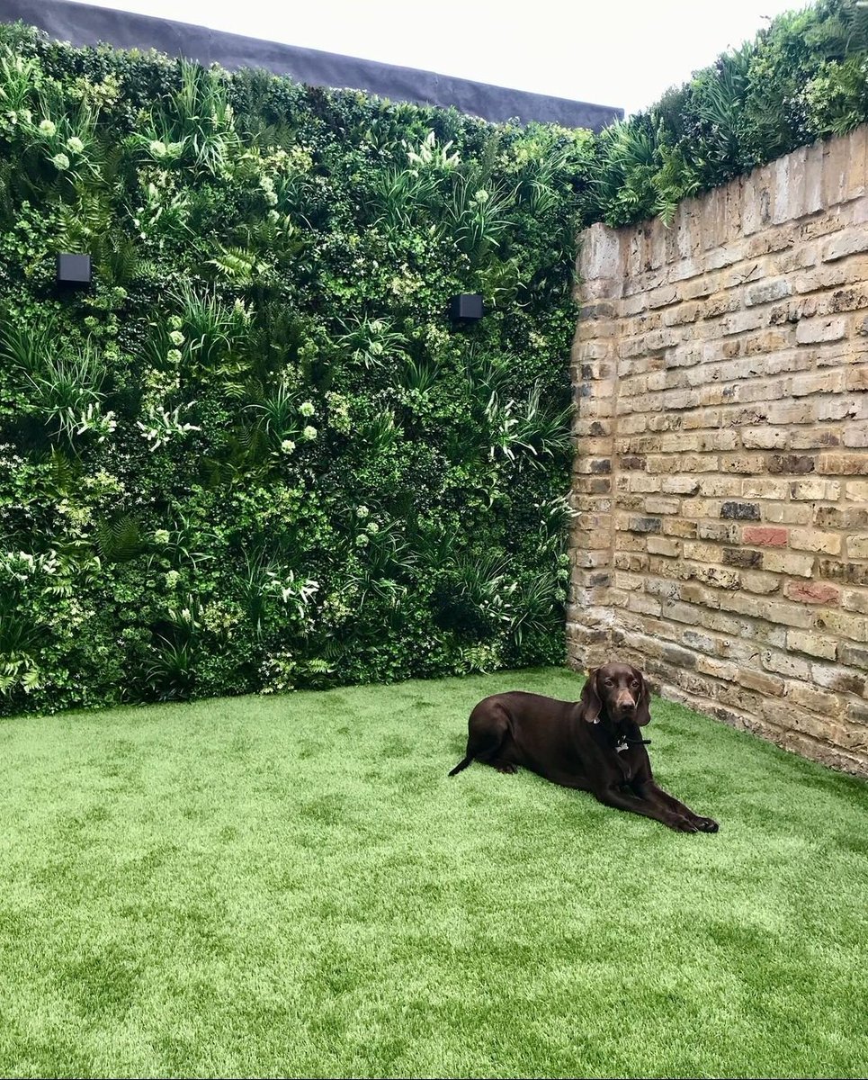 Shit Lawns tweet media
